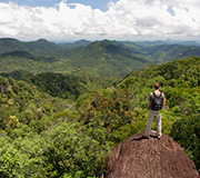 Sinharaja
