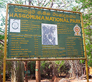 NARODNI PARK WASGAMUWA