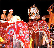 Esala Perahera v Kandyju