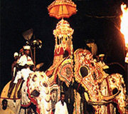 Gangaramaya Navam Perahera