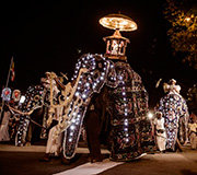 Gangaramaya Navam Perahera