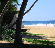 HIKKADUWA 