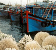 MANNAR